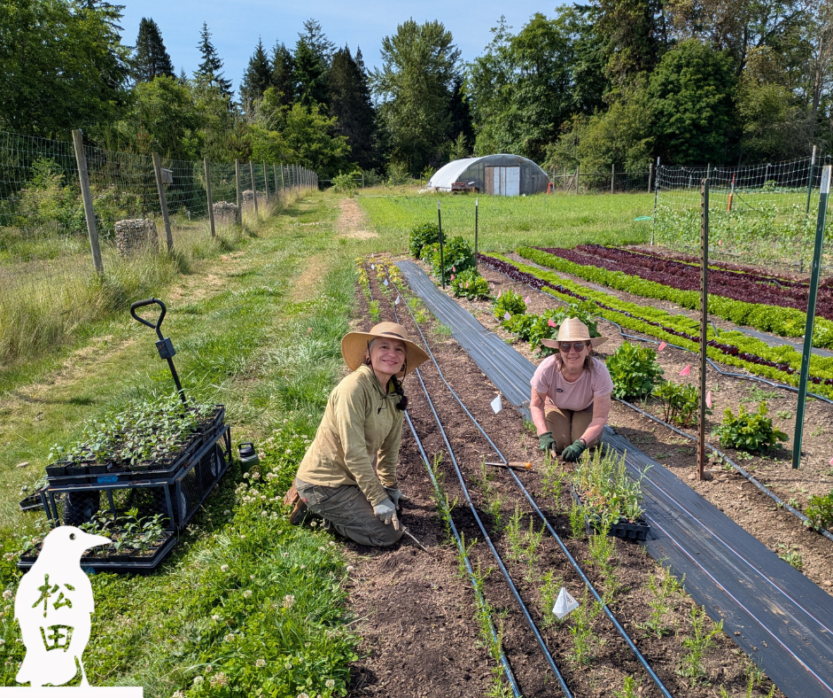 Matsuda Farm Volunteer Day
