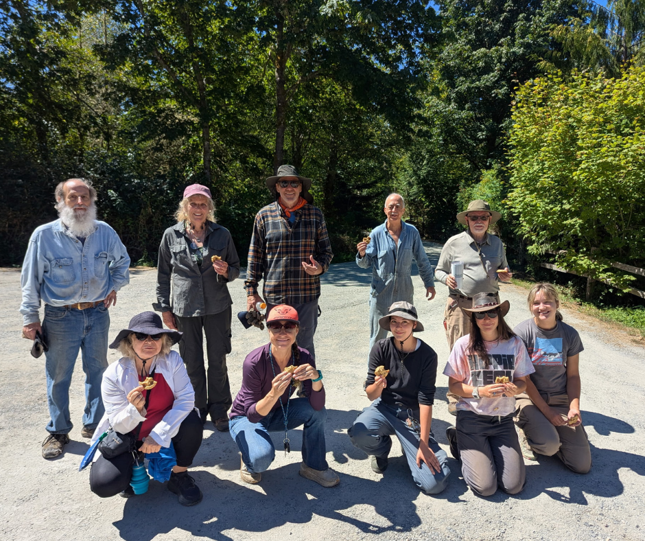Stewardship Work Party