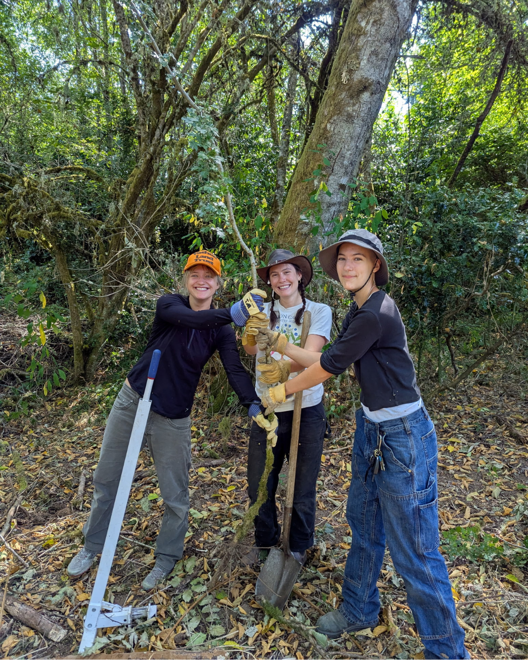 Stewardship Work Party