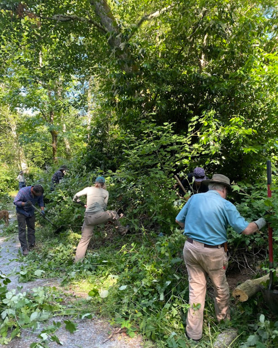 Stewardship Work Party