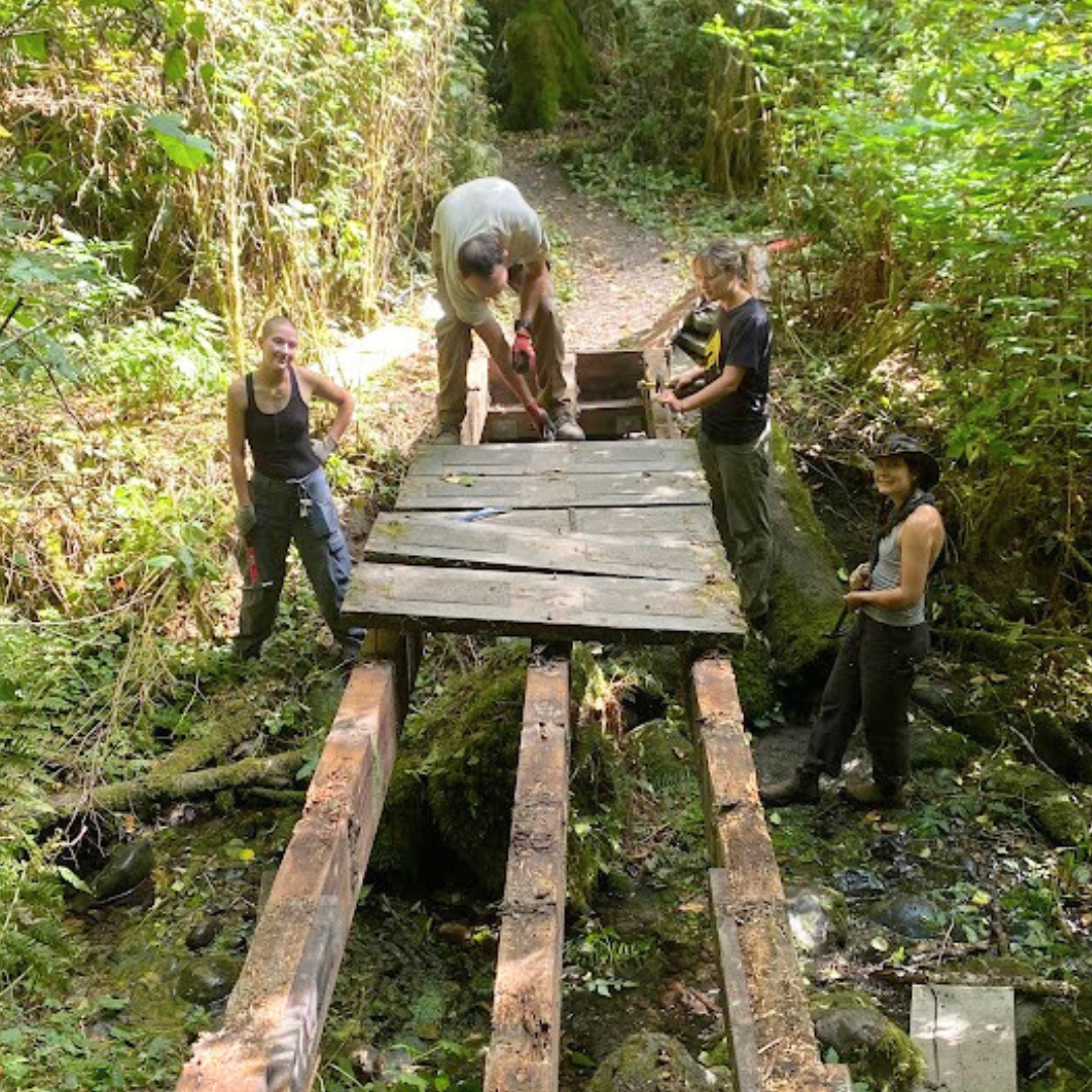 Stewardship Work Party