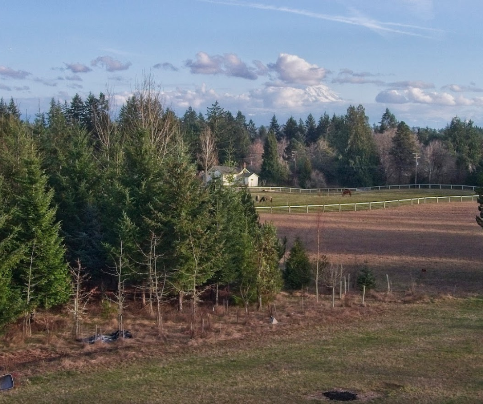 Stewardship Work Party