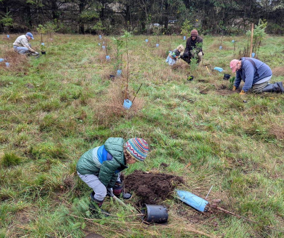 Stewardship Work Party