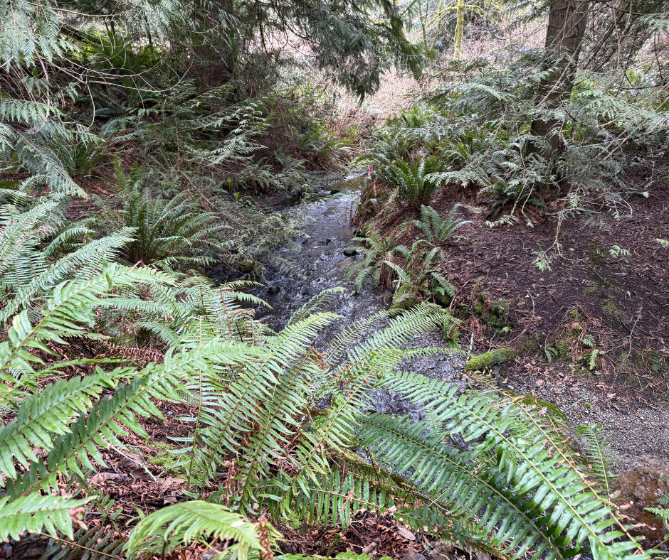 Stewardship Work Party 