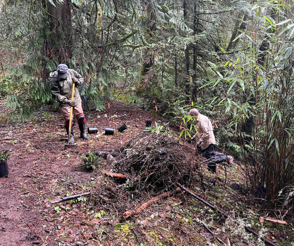 Stewardship Work Party 