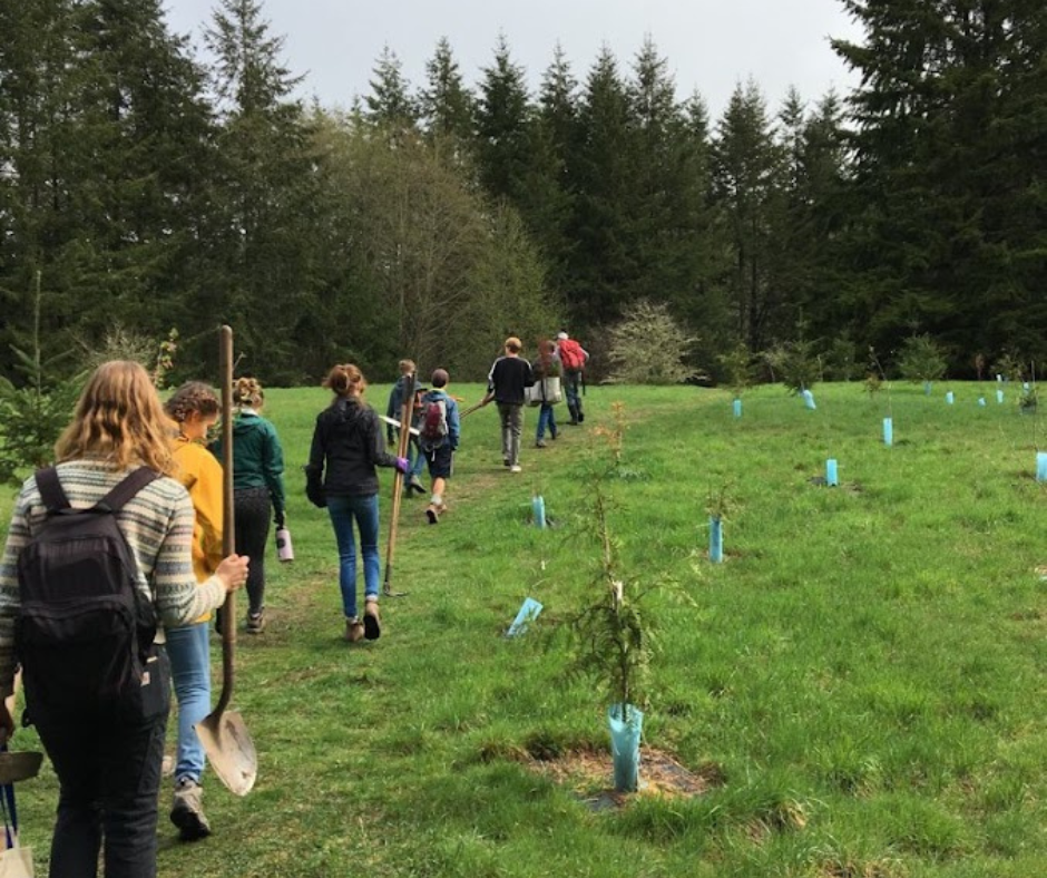 Stewardship Work Party 