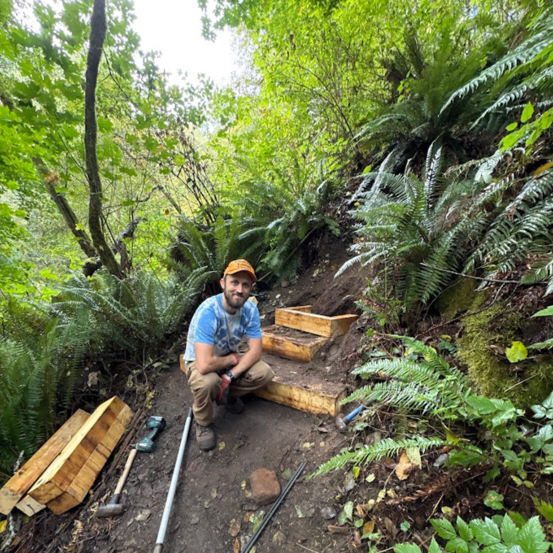 Stewardship Work Party 