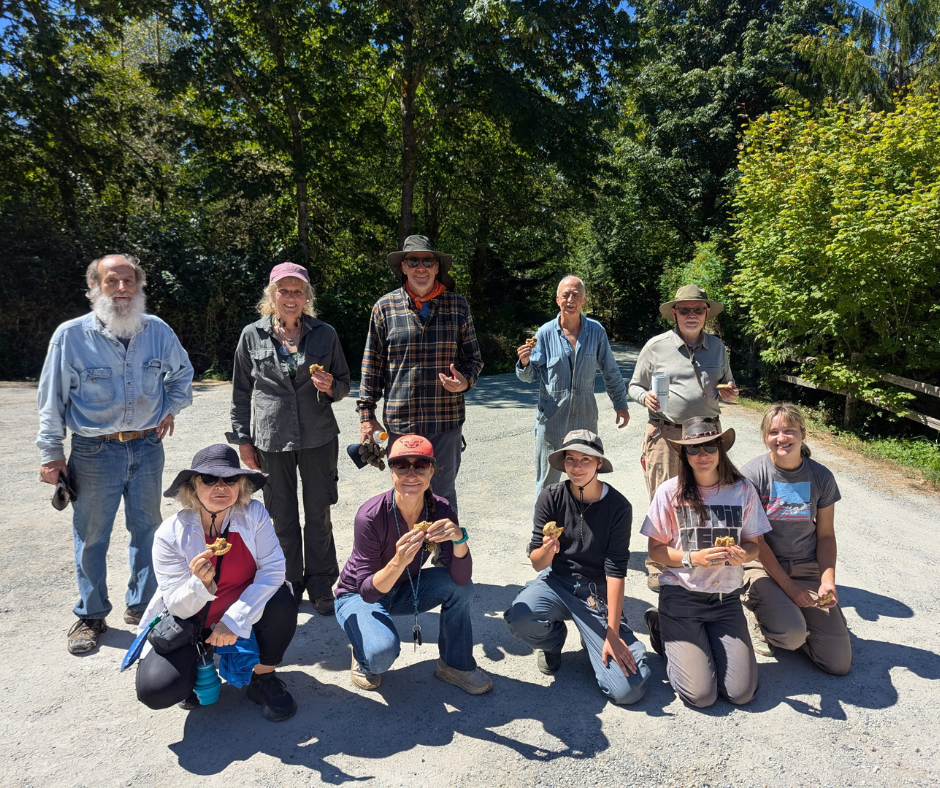 Stewardship Work Party