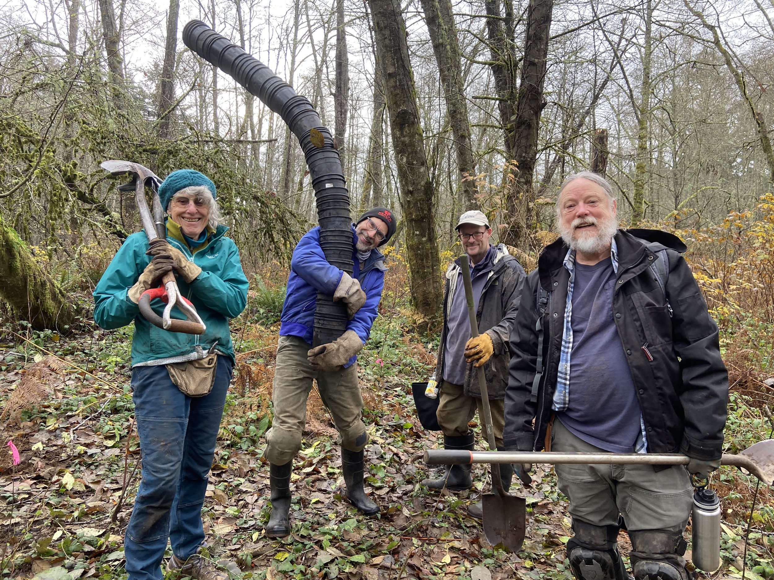 Vashon Bird Alliance Work Party 