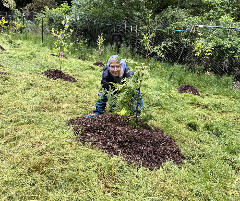Stewardship Work Party 