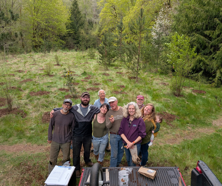 Stewardship Work Party 