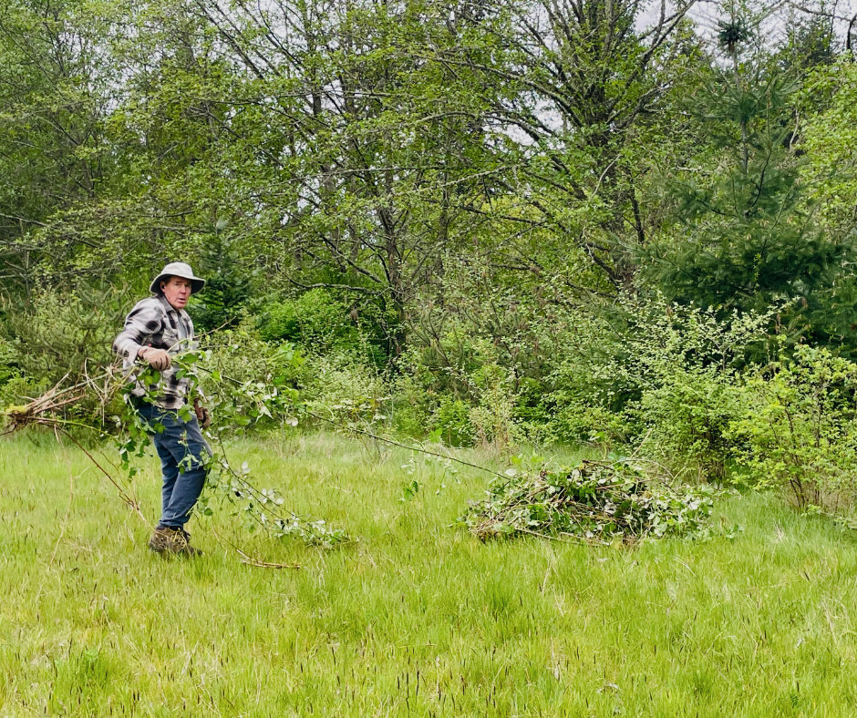 Stewardship Work Party