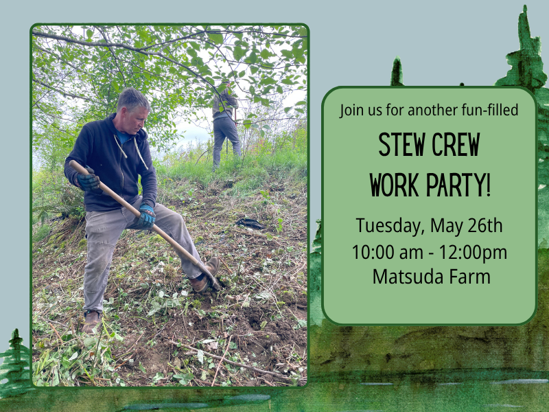 Stewardship Work Party