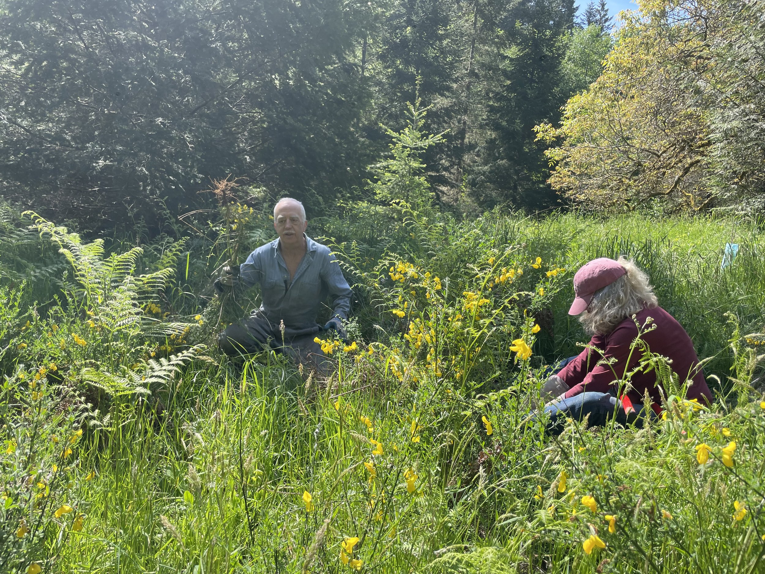 Stewardship Work Party