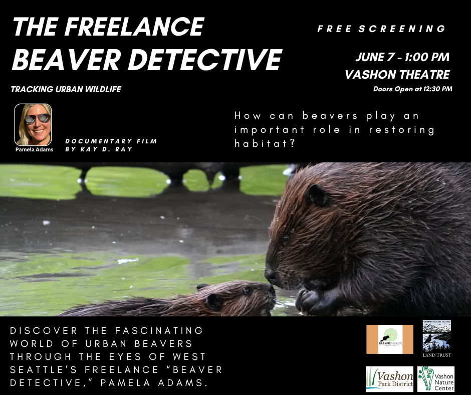 The Freelance Beaver Detective