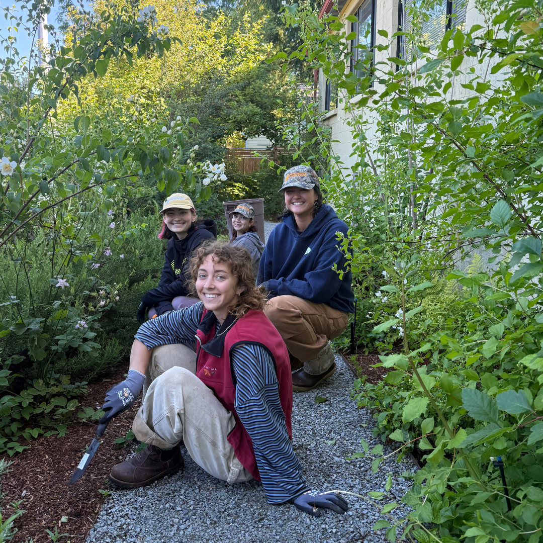 Stewardship Work Party