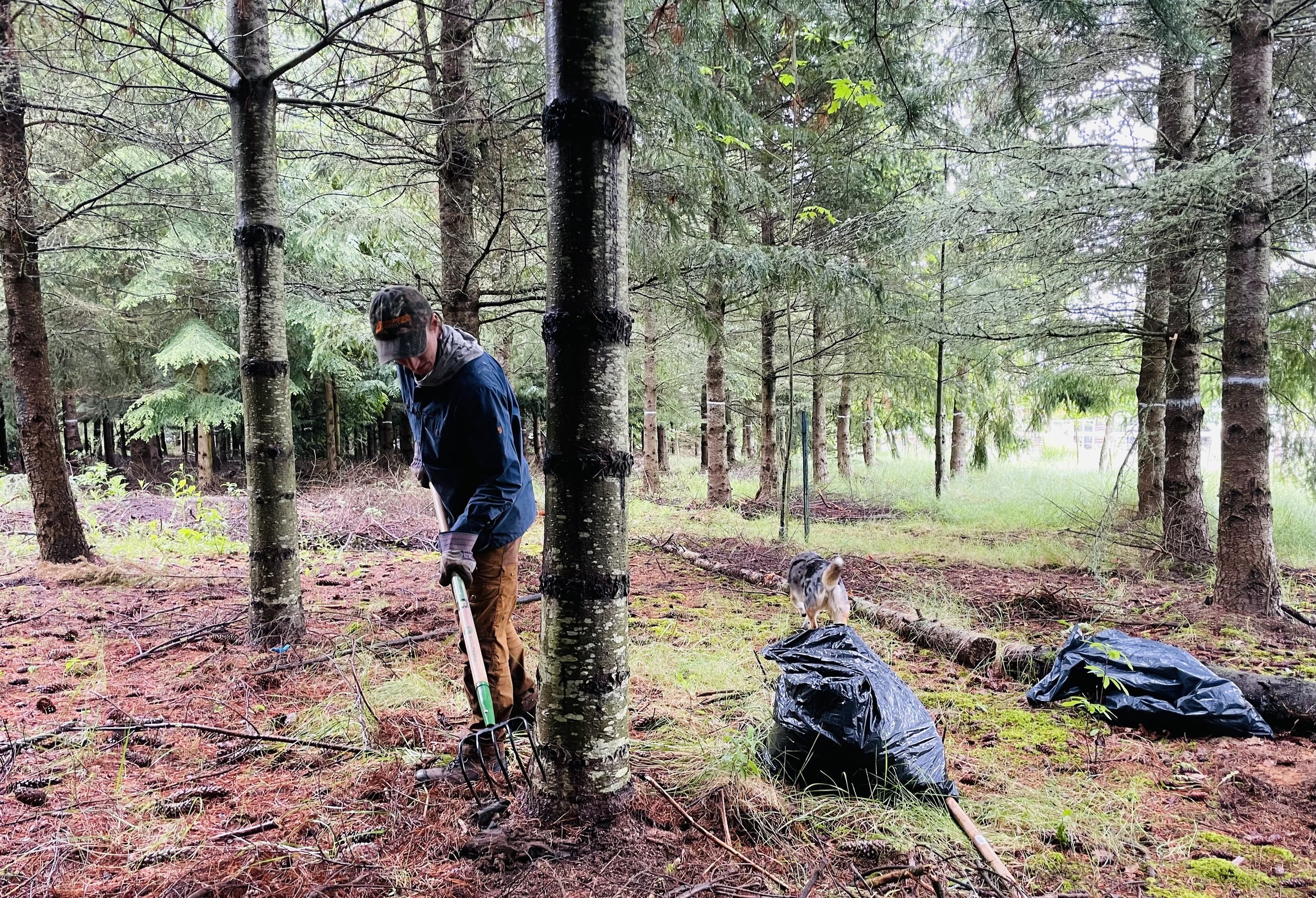 Stewardship Work Party