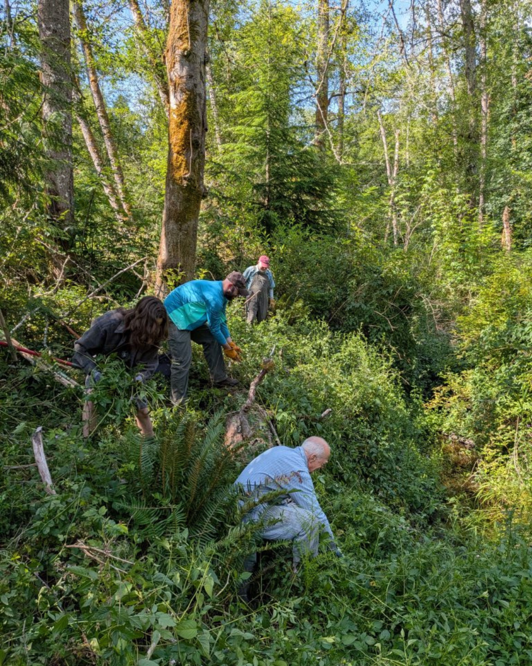 Stewardship Work Party 