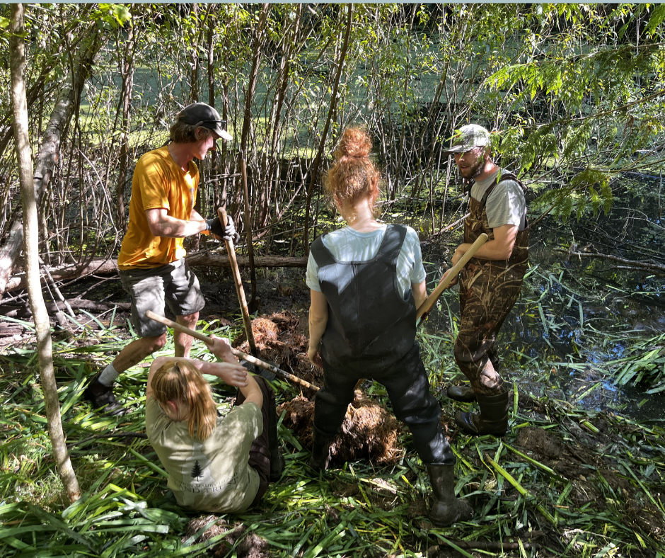 Stewardship Work Party