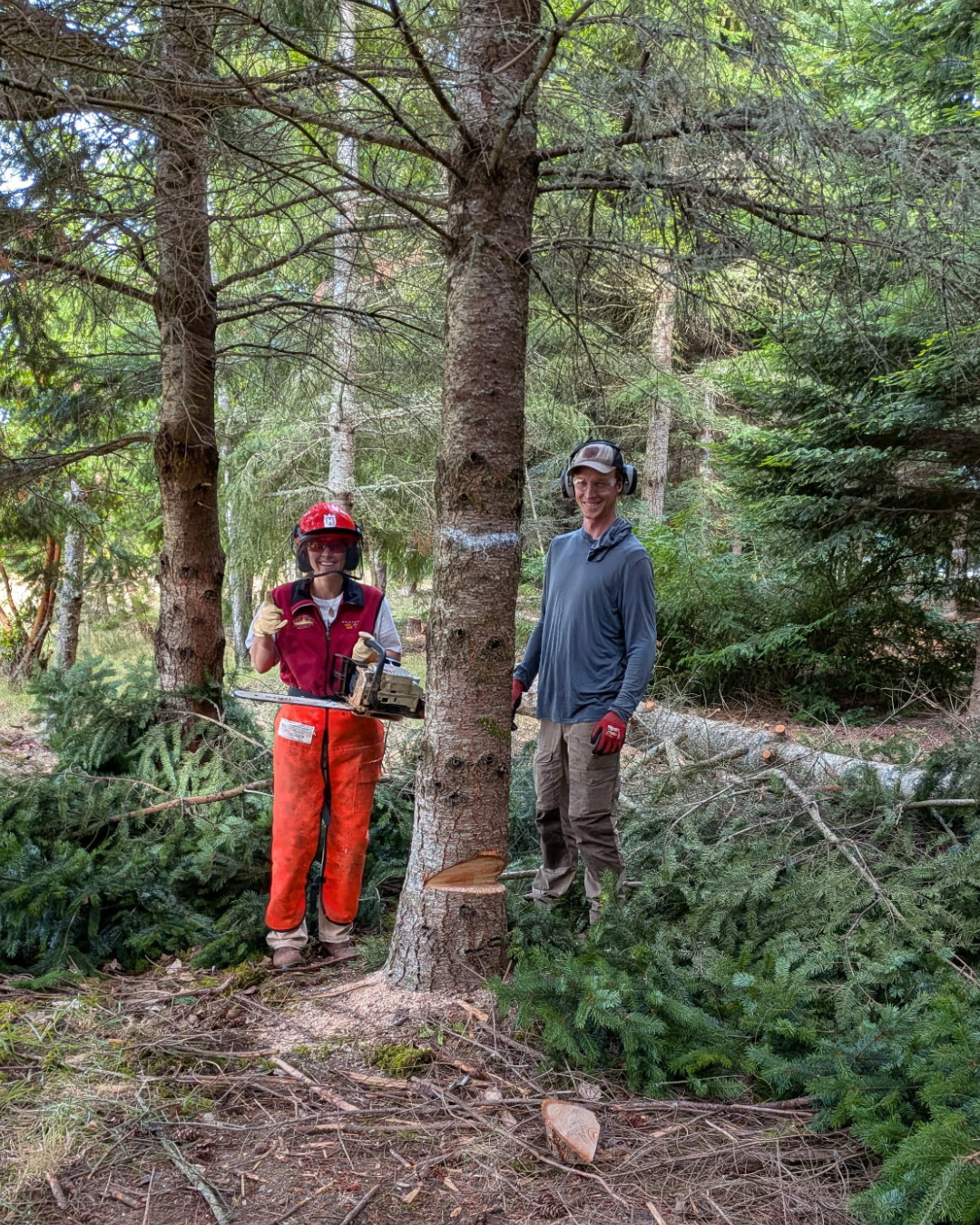 Stewardship Work Party 