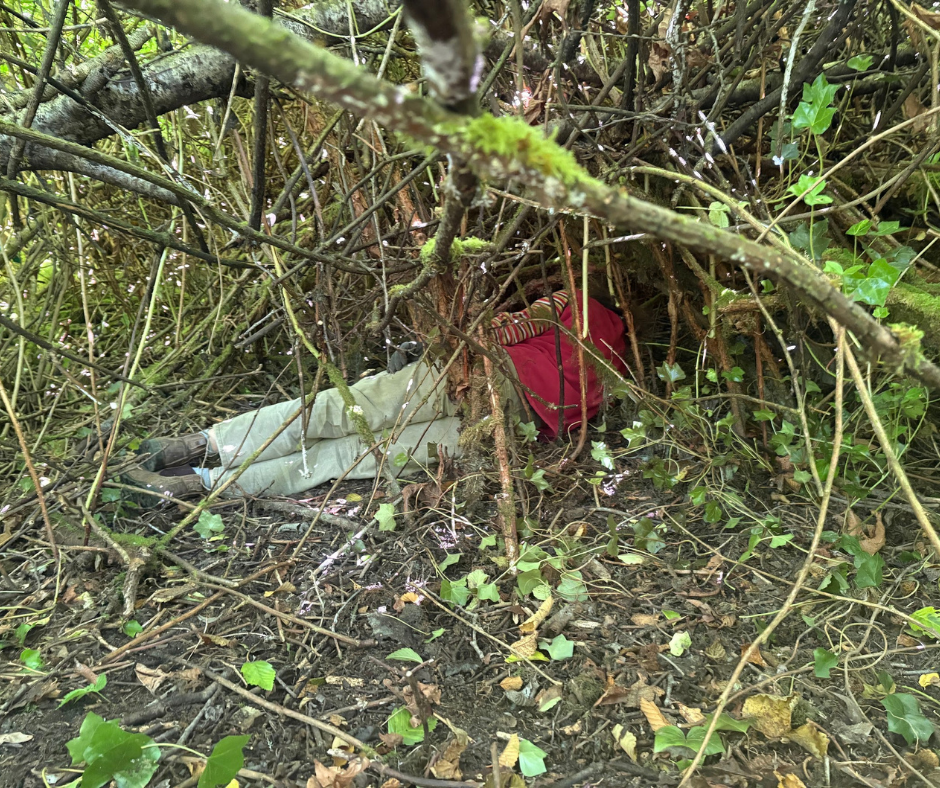 Stewardship Work Party 