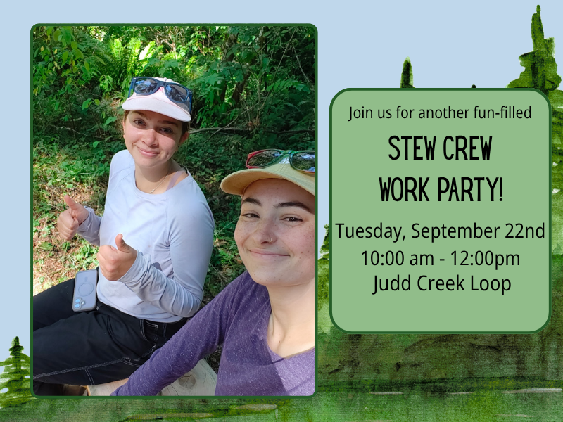 Stewardship Work Party 