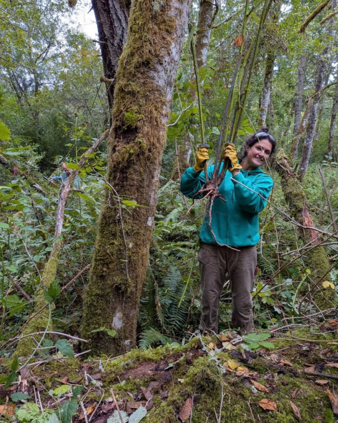 Stewardship Work Party 