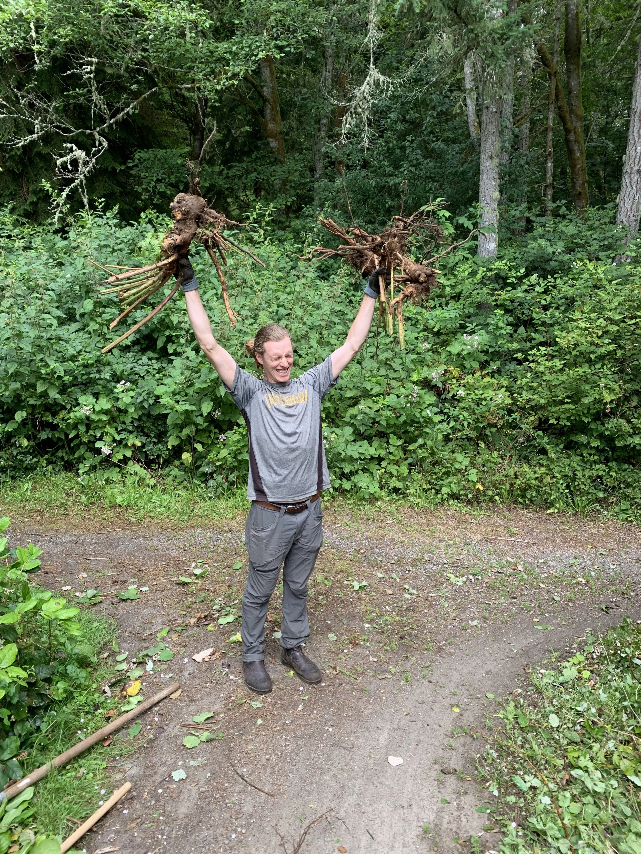 Stewardship Work Party 