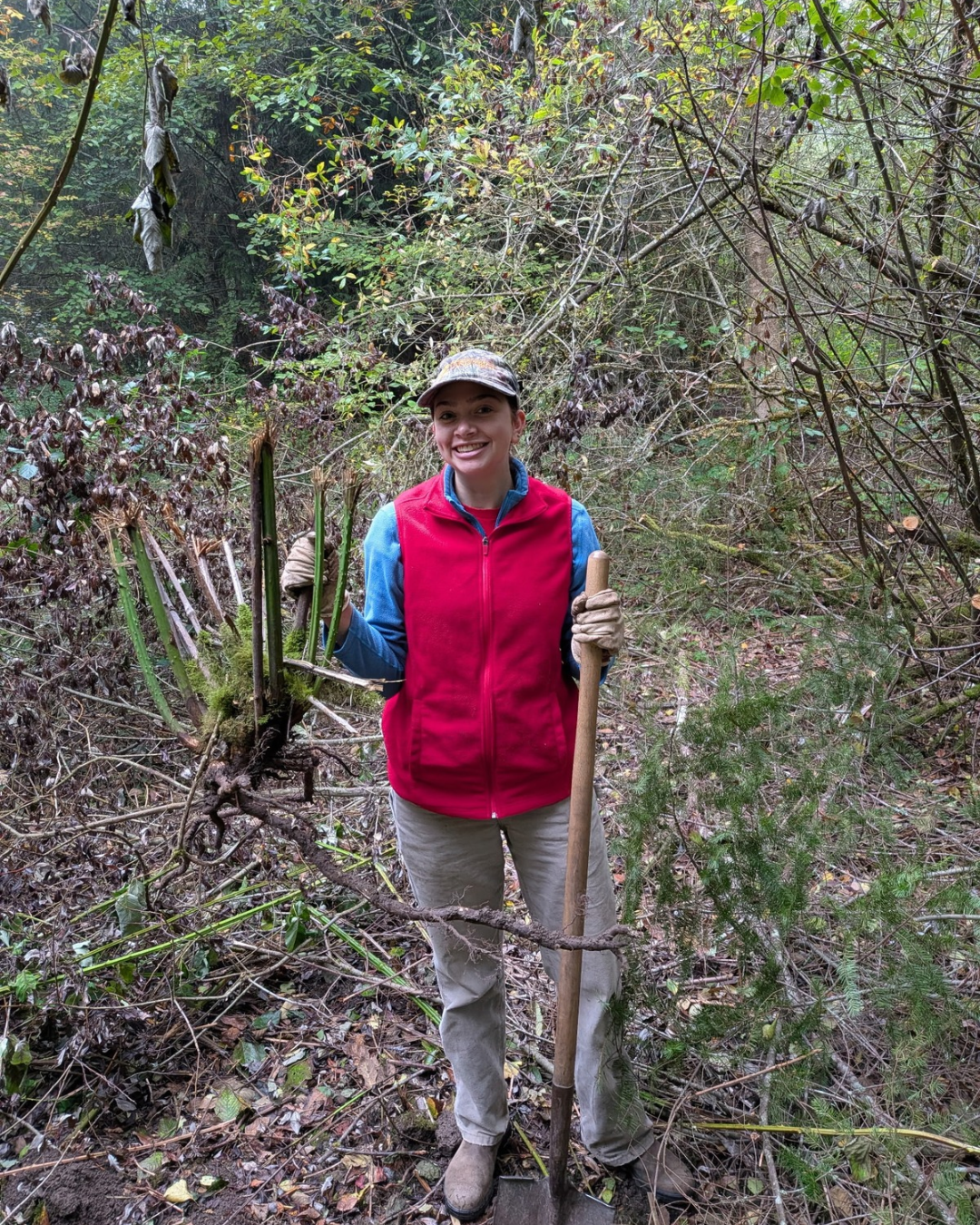 Stewardship Work Party 