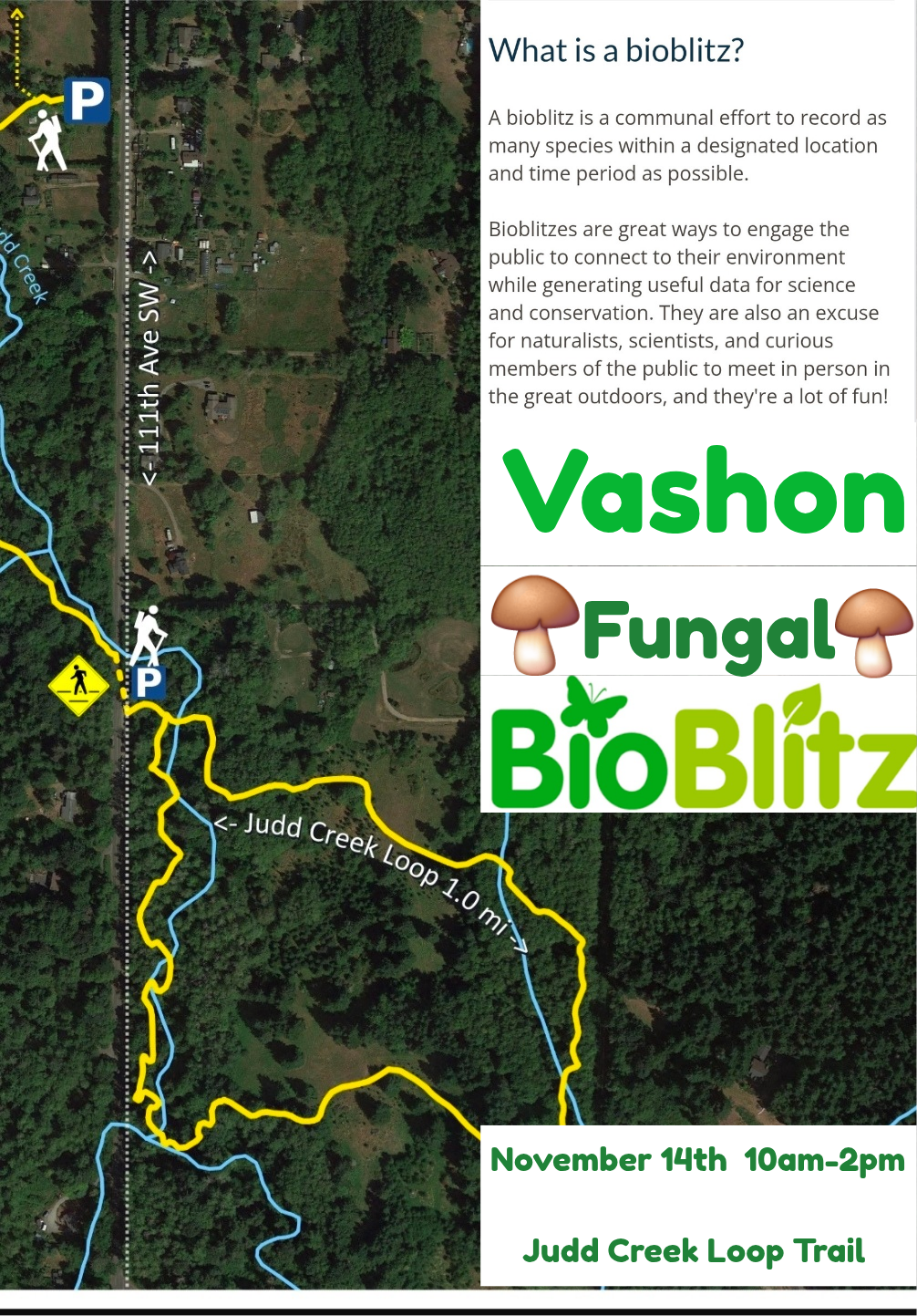 Fungal BioBlitz!