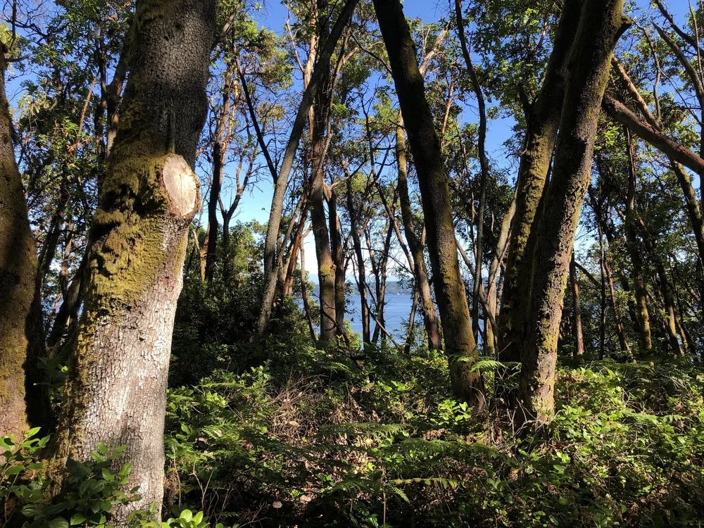 Reports — VashonMaury Island Land Trust