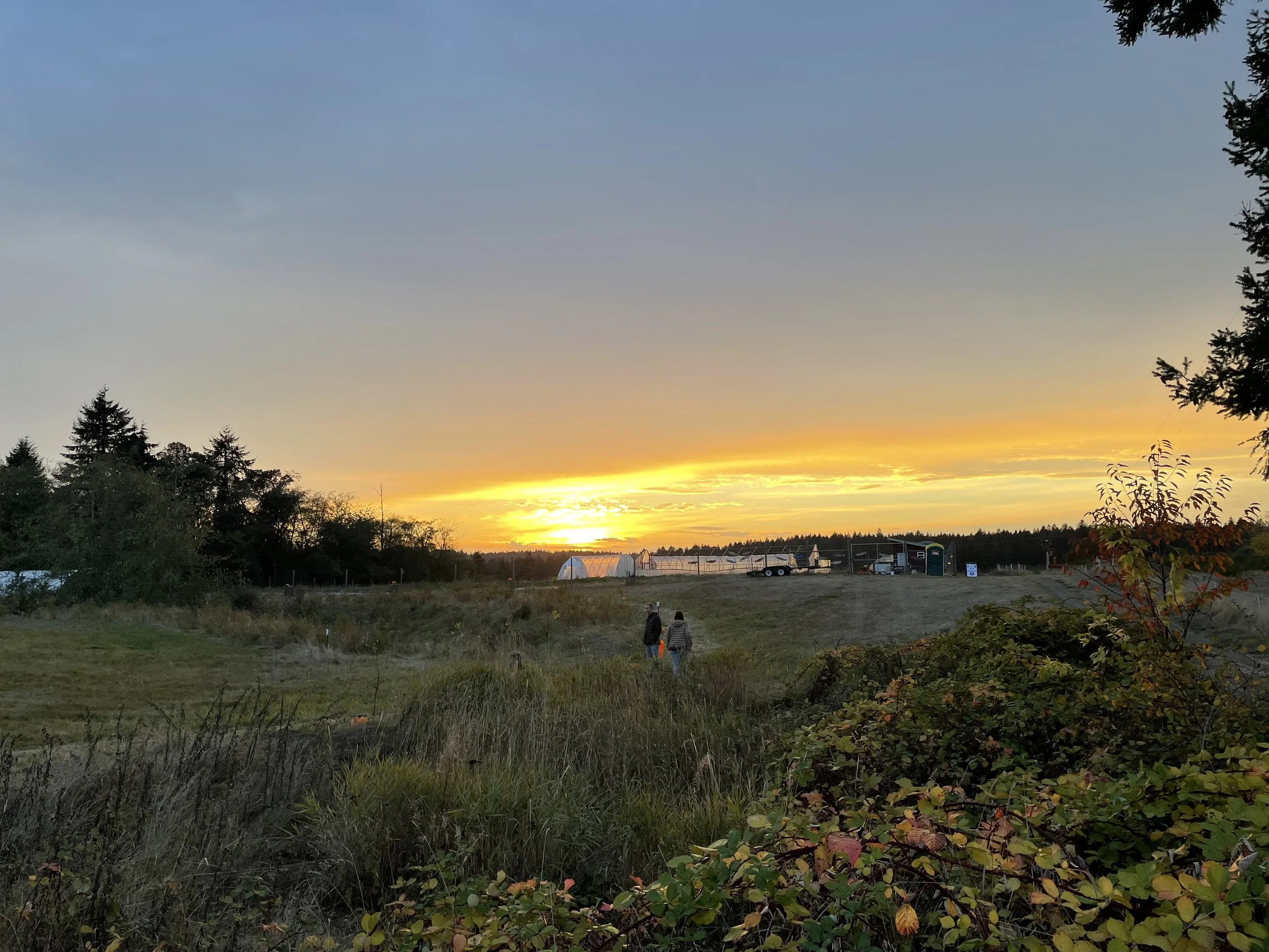 Reports — VashonMaury Island Land Trust