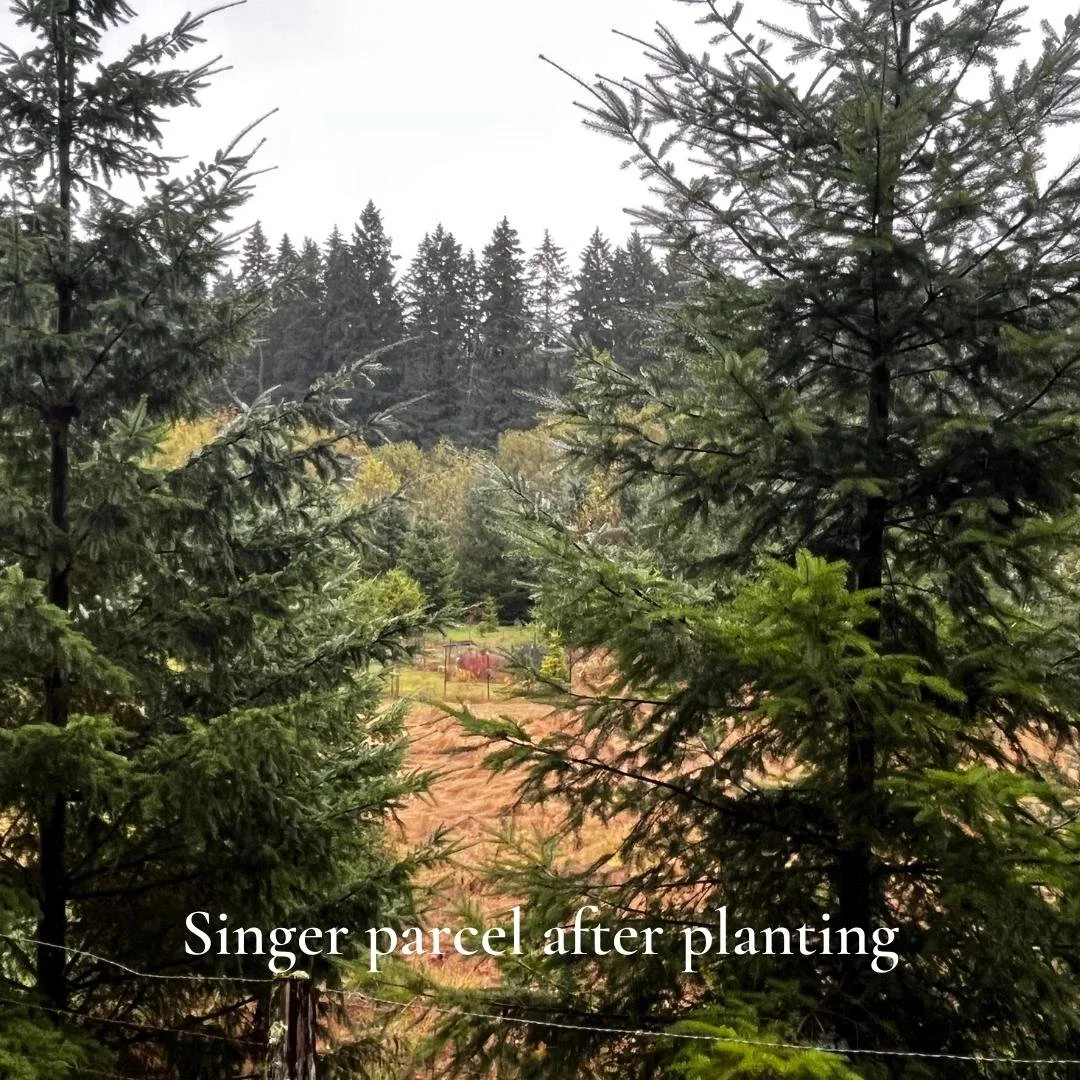 Land Stewardship — VashonMaury Island Land Trust