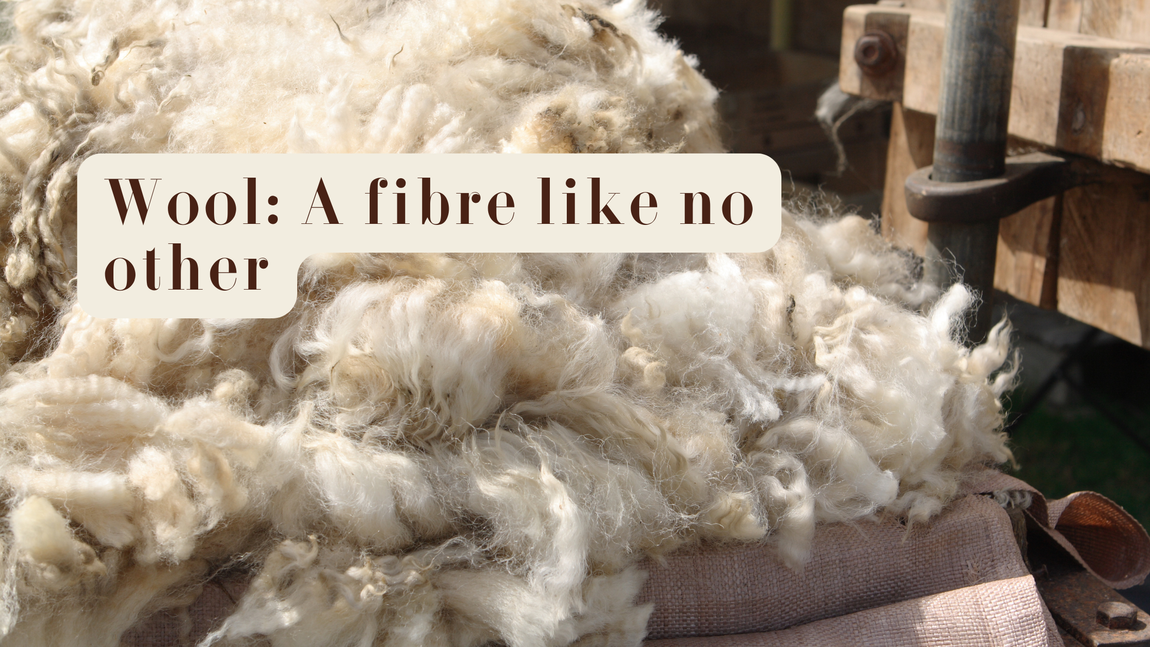 Wool Secrets