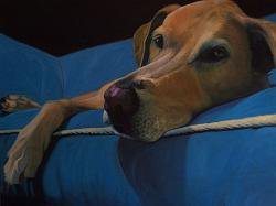 murphy.jpeg