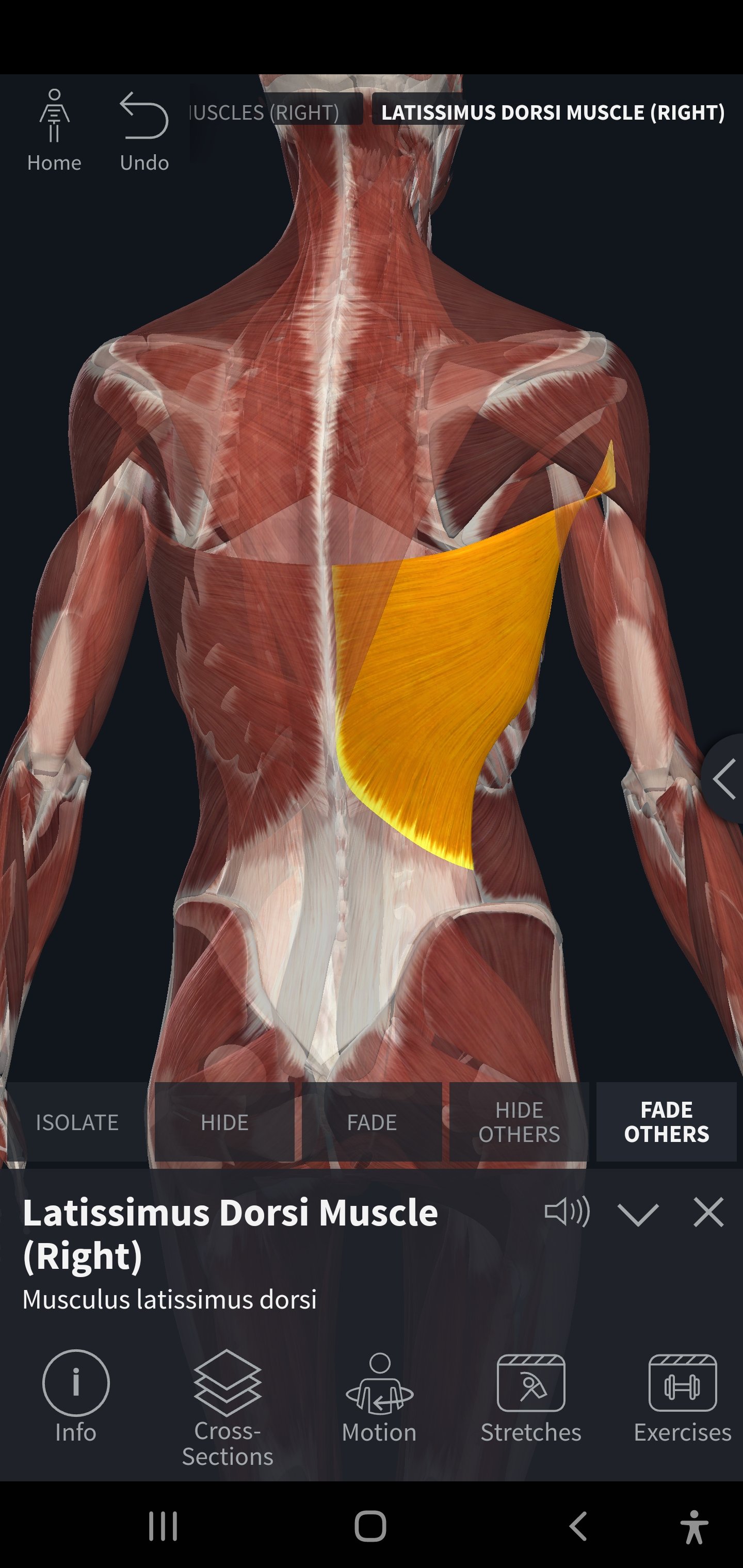 Screenshot_20220112-100644_Complete Anatomy 2022.jpg