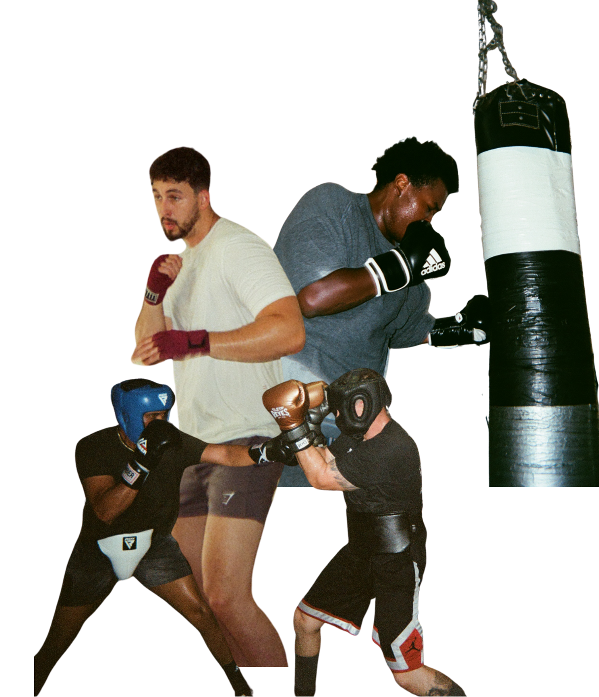Houston Fight Shop - Boxing Gloves, Punching Bags, and Much More!