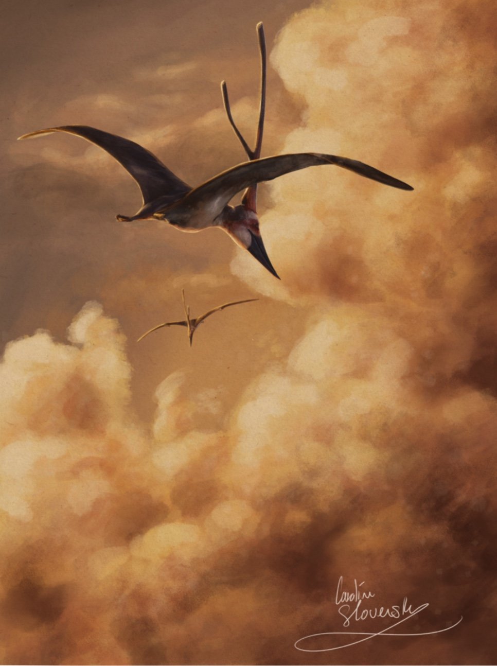 AlliedArtists:CarolineSlovensky:5GoldenBarbaidactylus.jpg