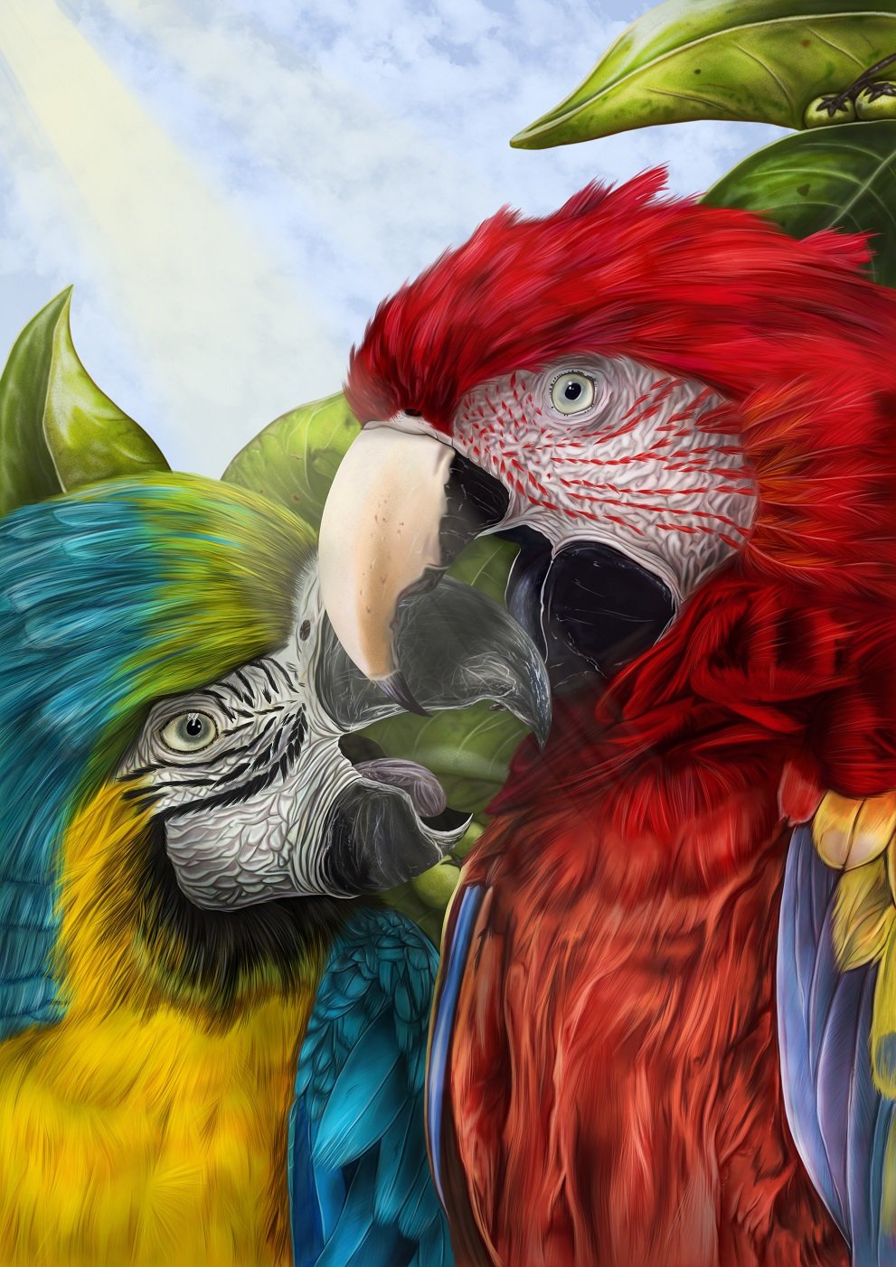 Illustration of two parrots, one blue and yellow and one red.