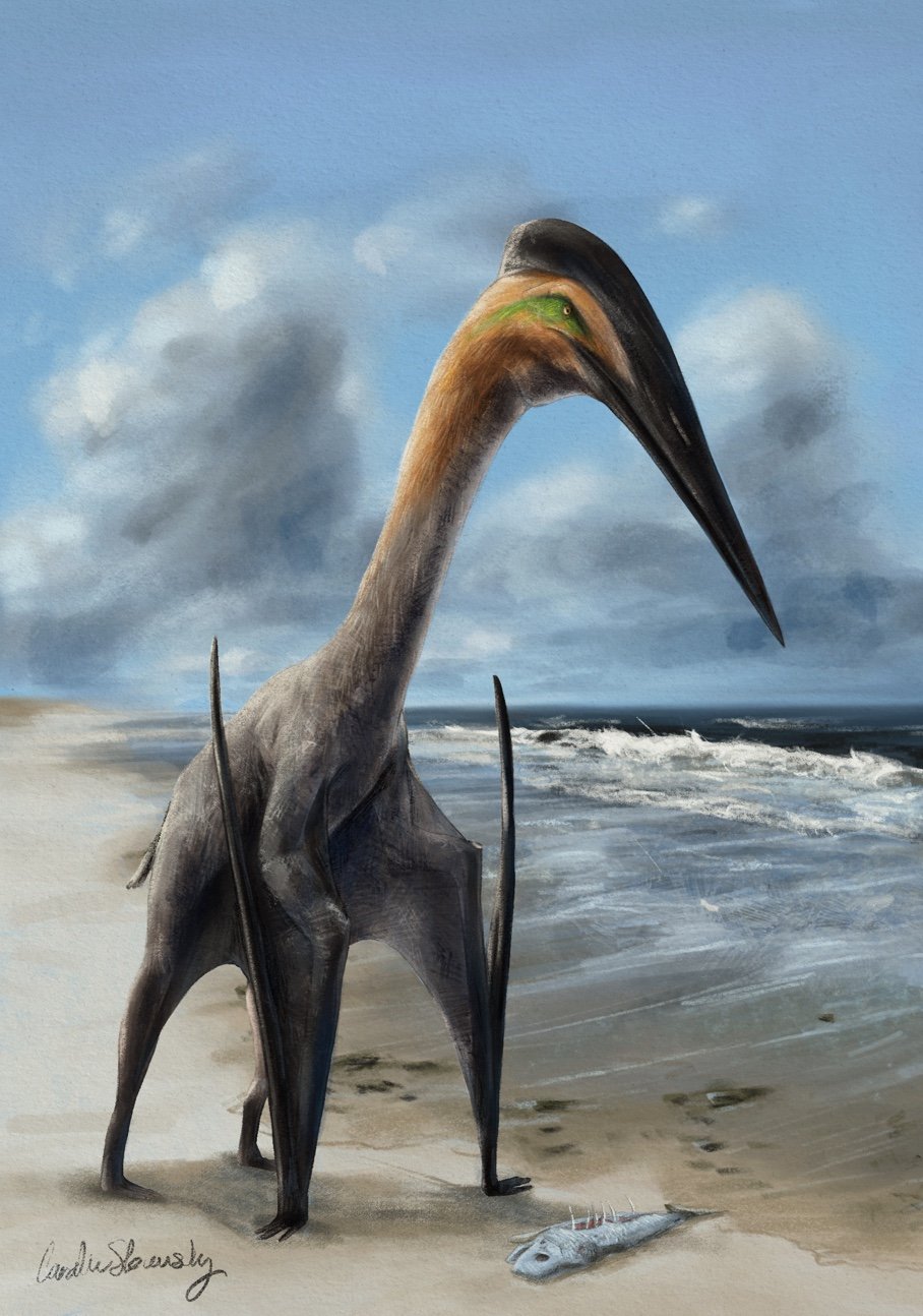 AlliedArtists:CarolineSlovensky:3phosphatodraco.jpg