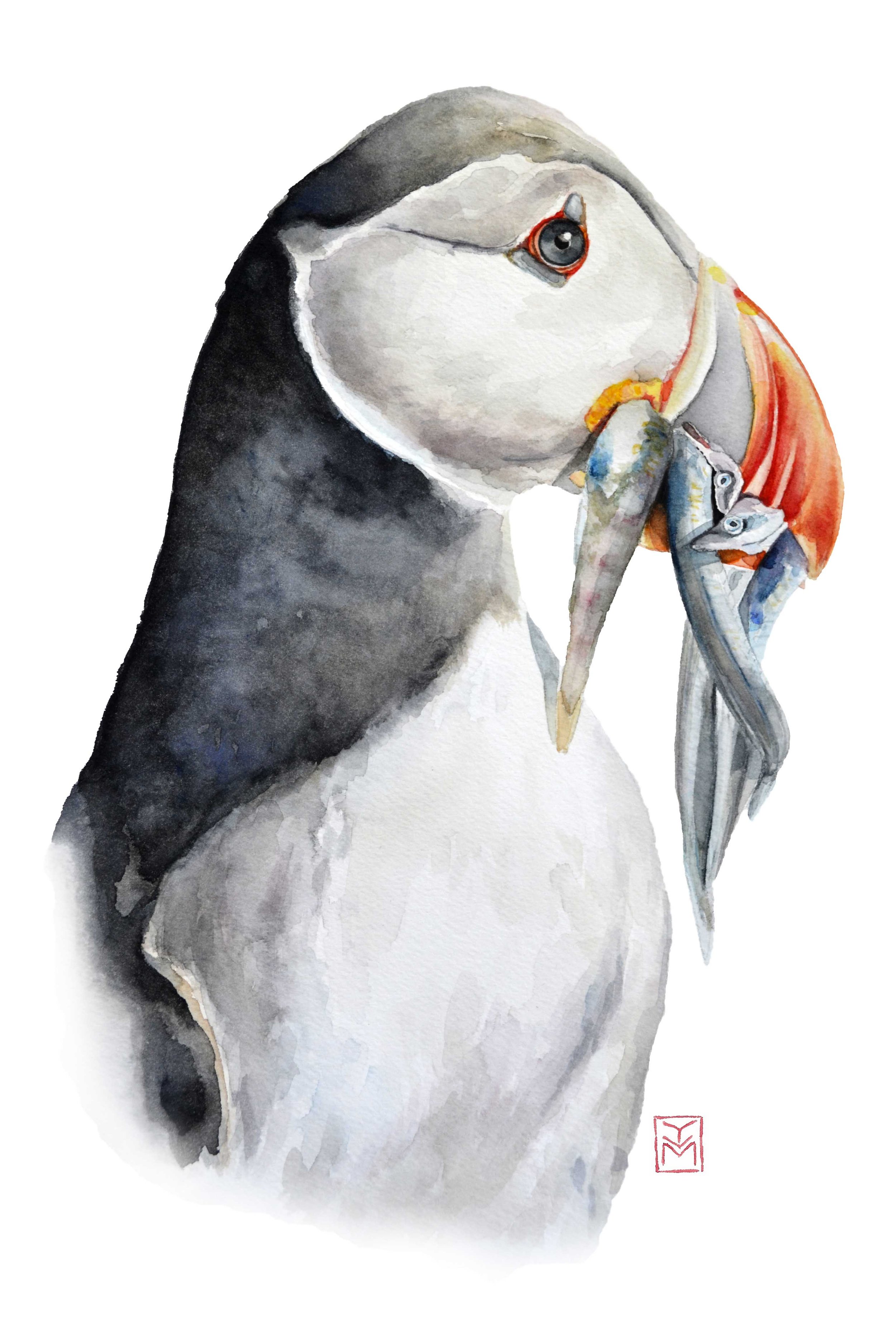 AlliedArtists-YleniaVimercati-PortfolioPuffin.jpg