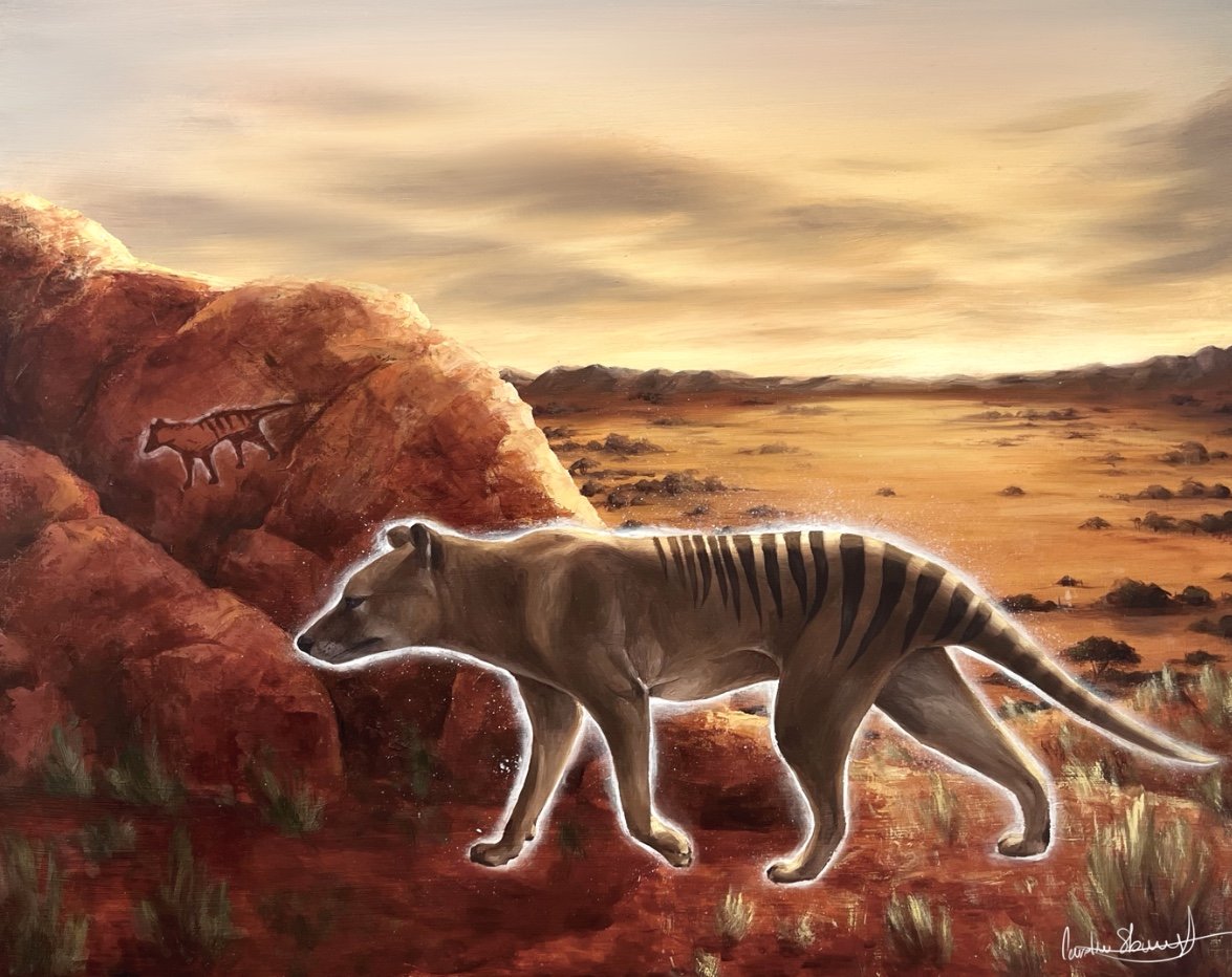 AlliedArtists:CarolineSlovensky:1ExtinctThylacine.jpg