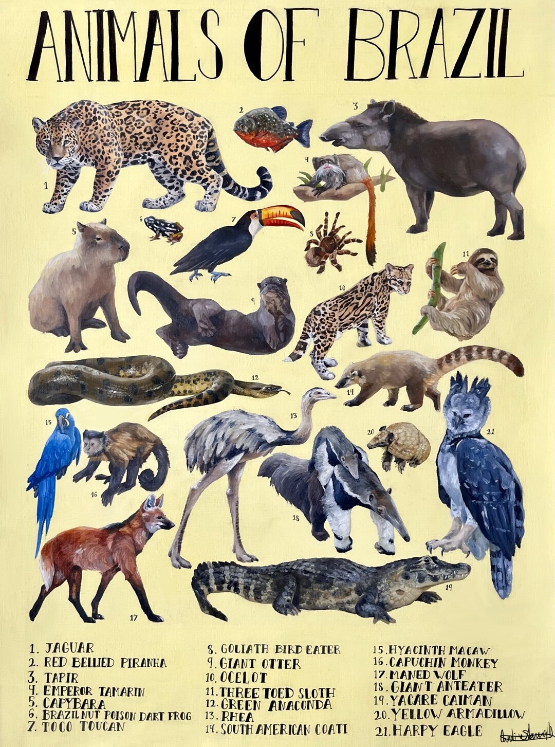 AlliedArtists:CarolineSlovensky:7AnimalsofBrazil.jpg