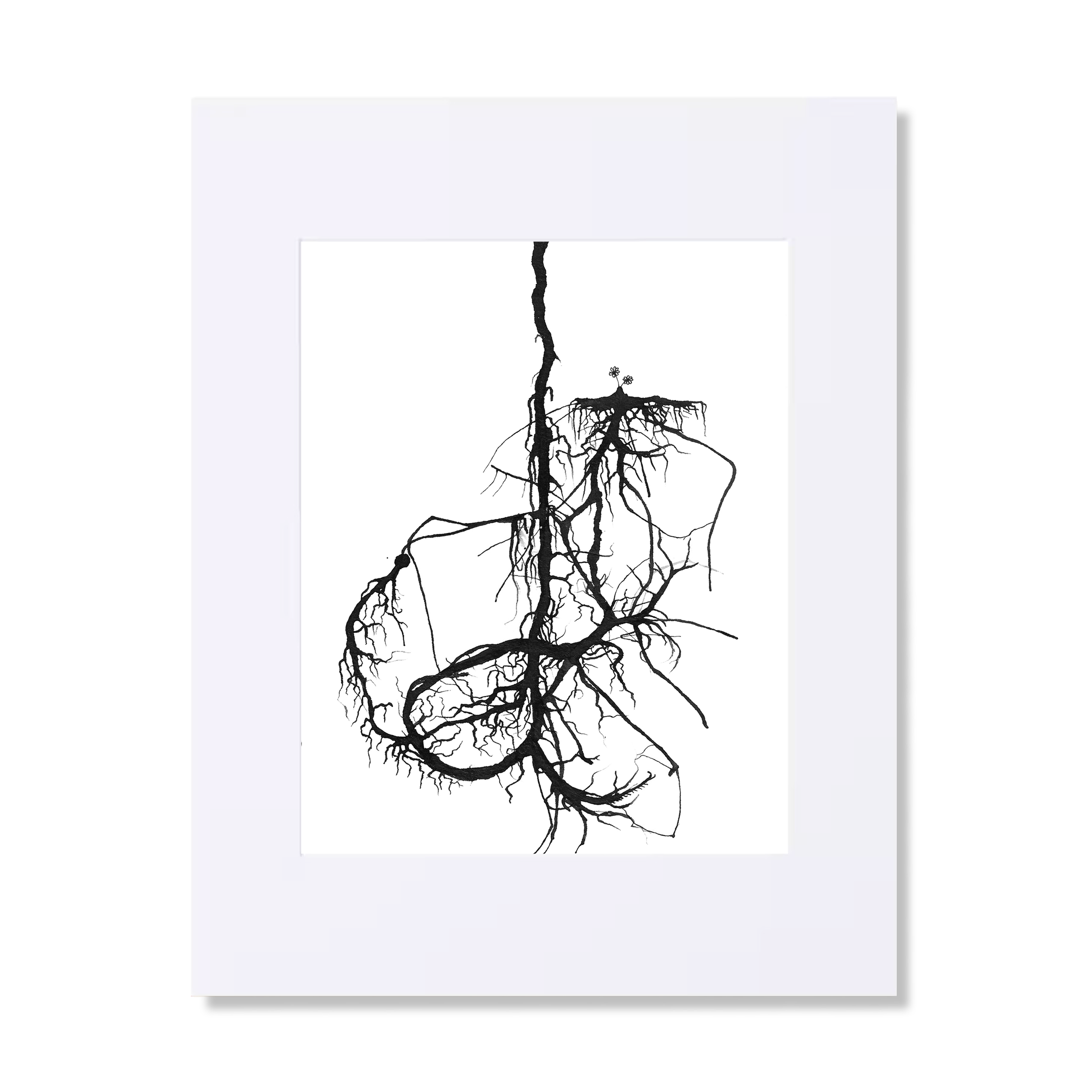 Flower_root_web_11x14.png
