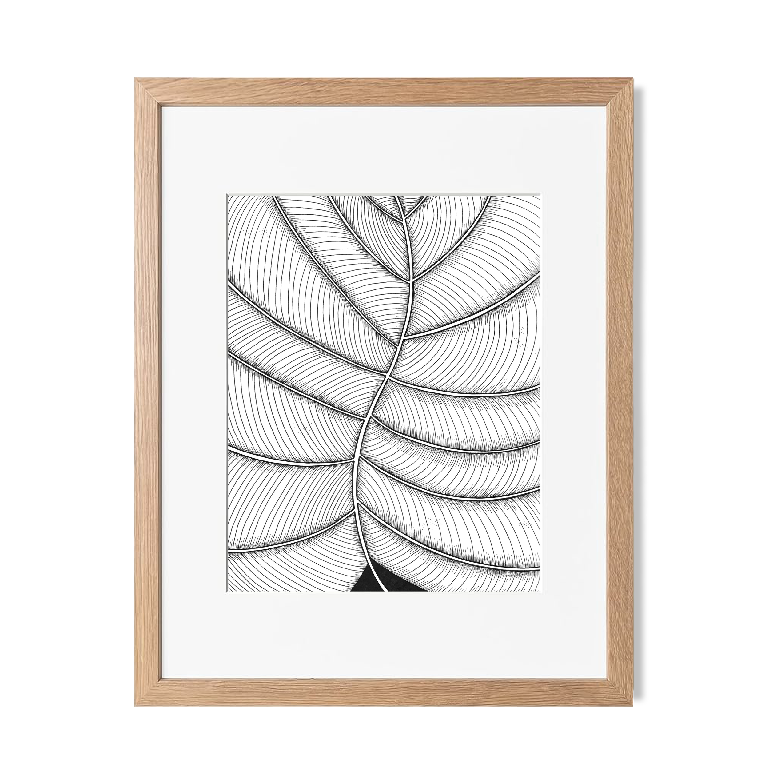 Leaf_Abstract_web_new.png
