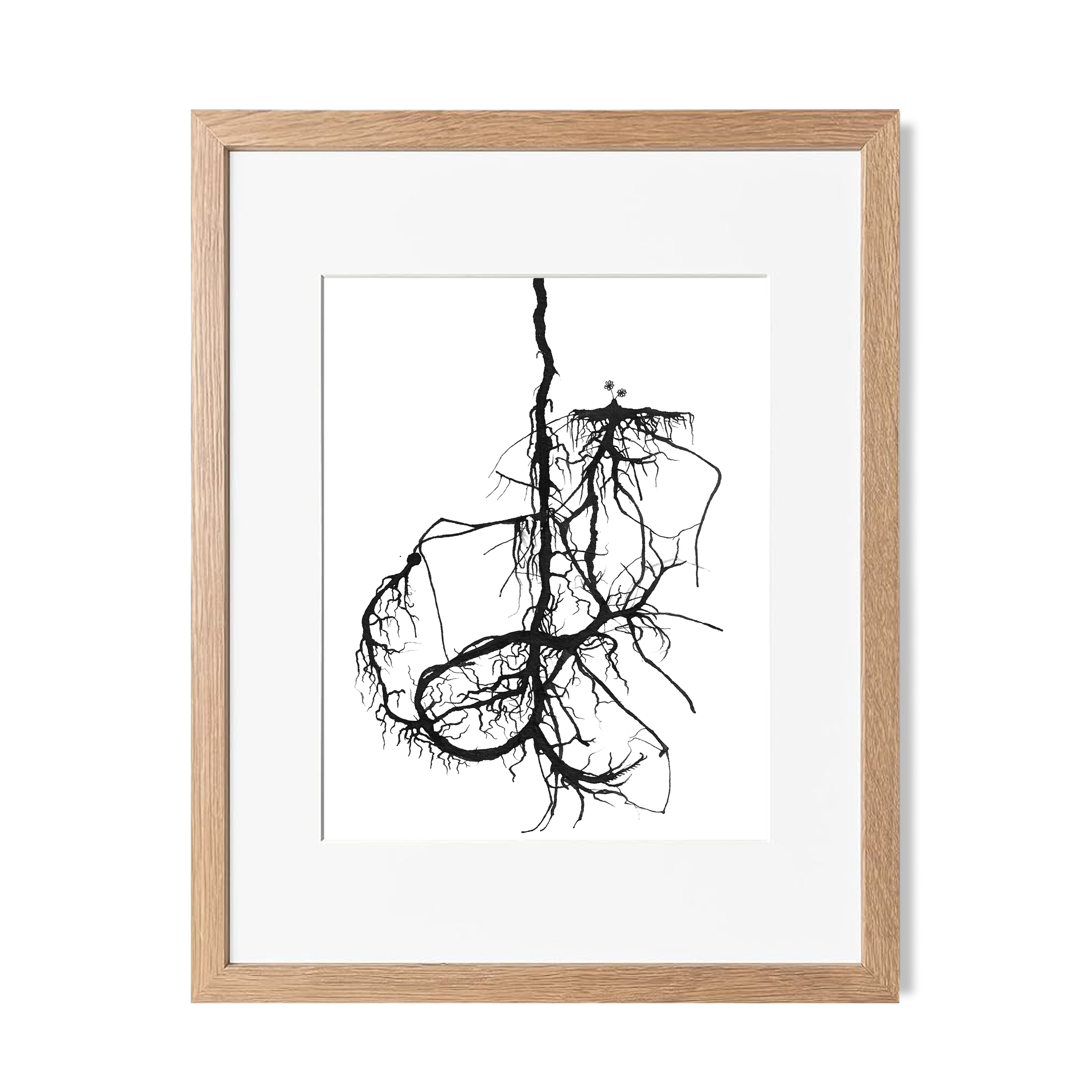 Flower_root_web_new.png
