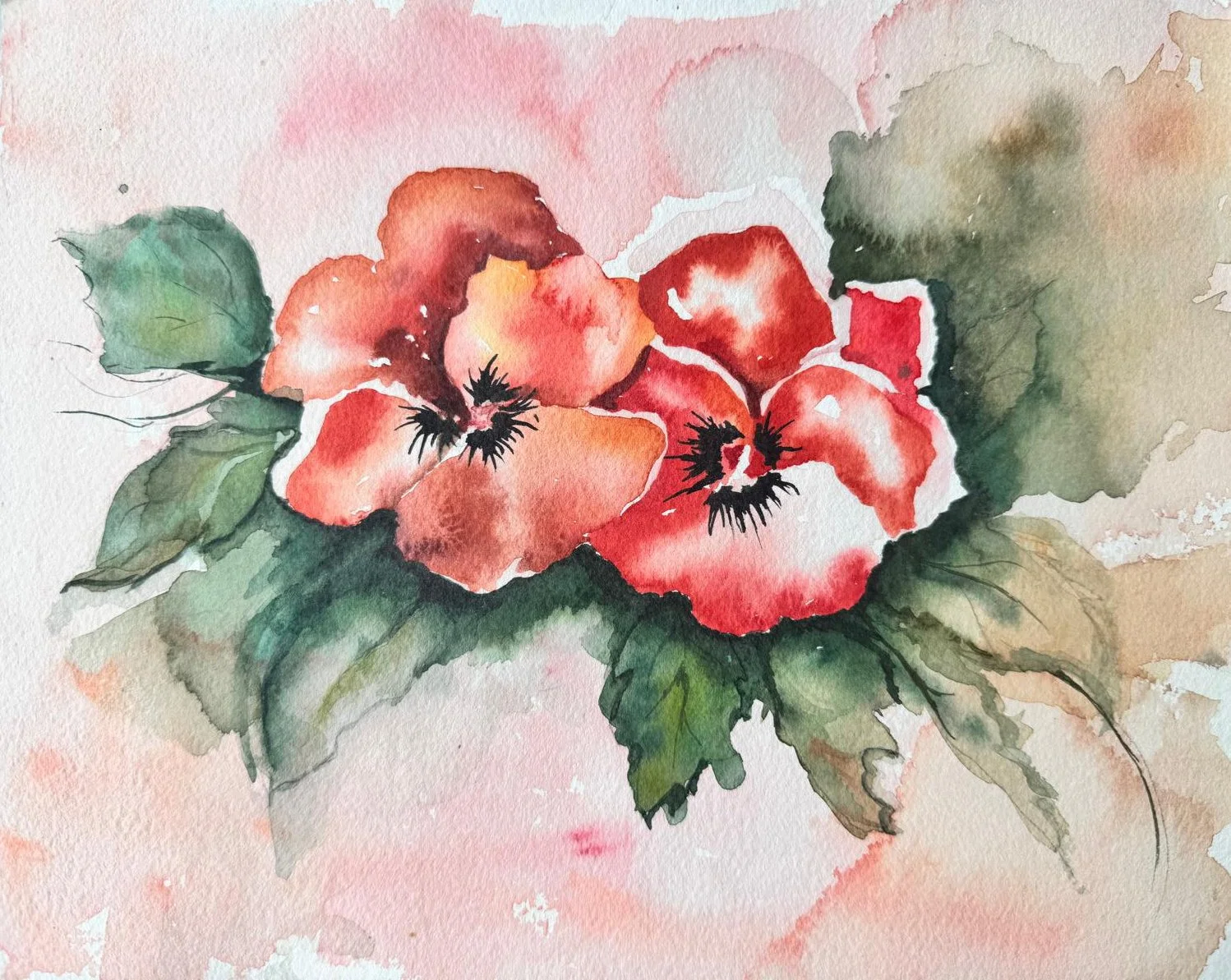 Amapolas
