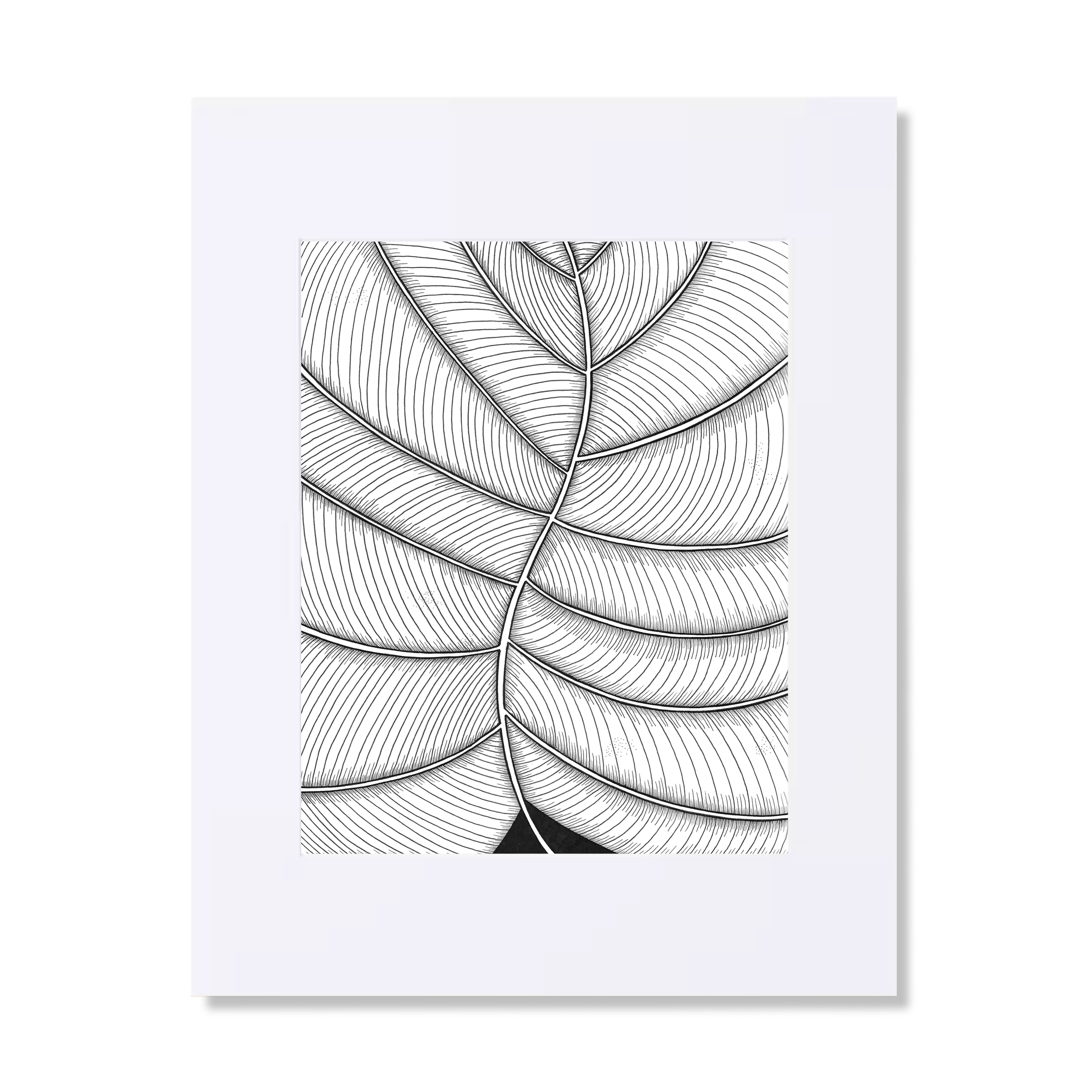 Leaf_abstract_web_11x14.png