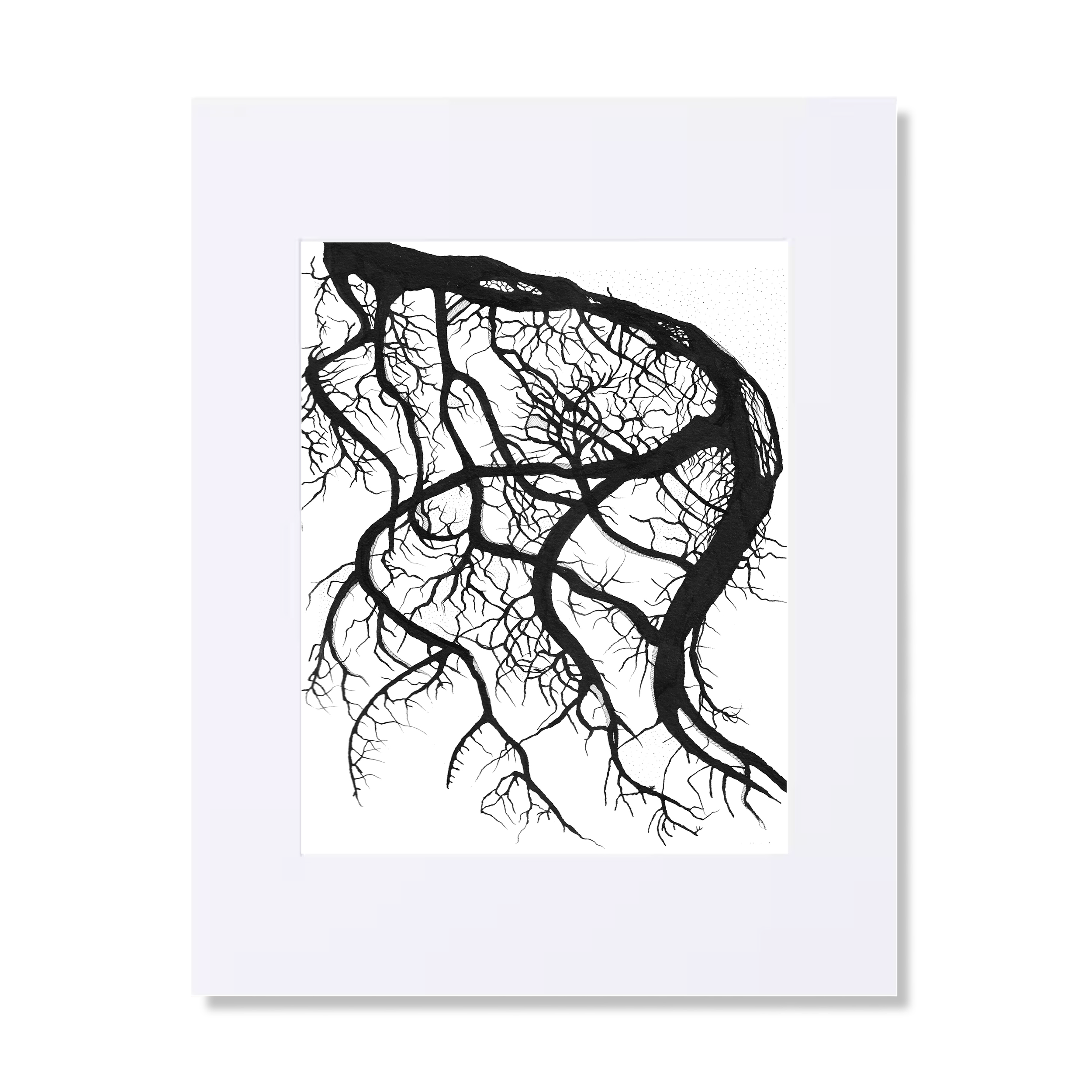 tree_roots_web_11x14.png
