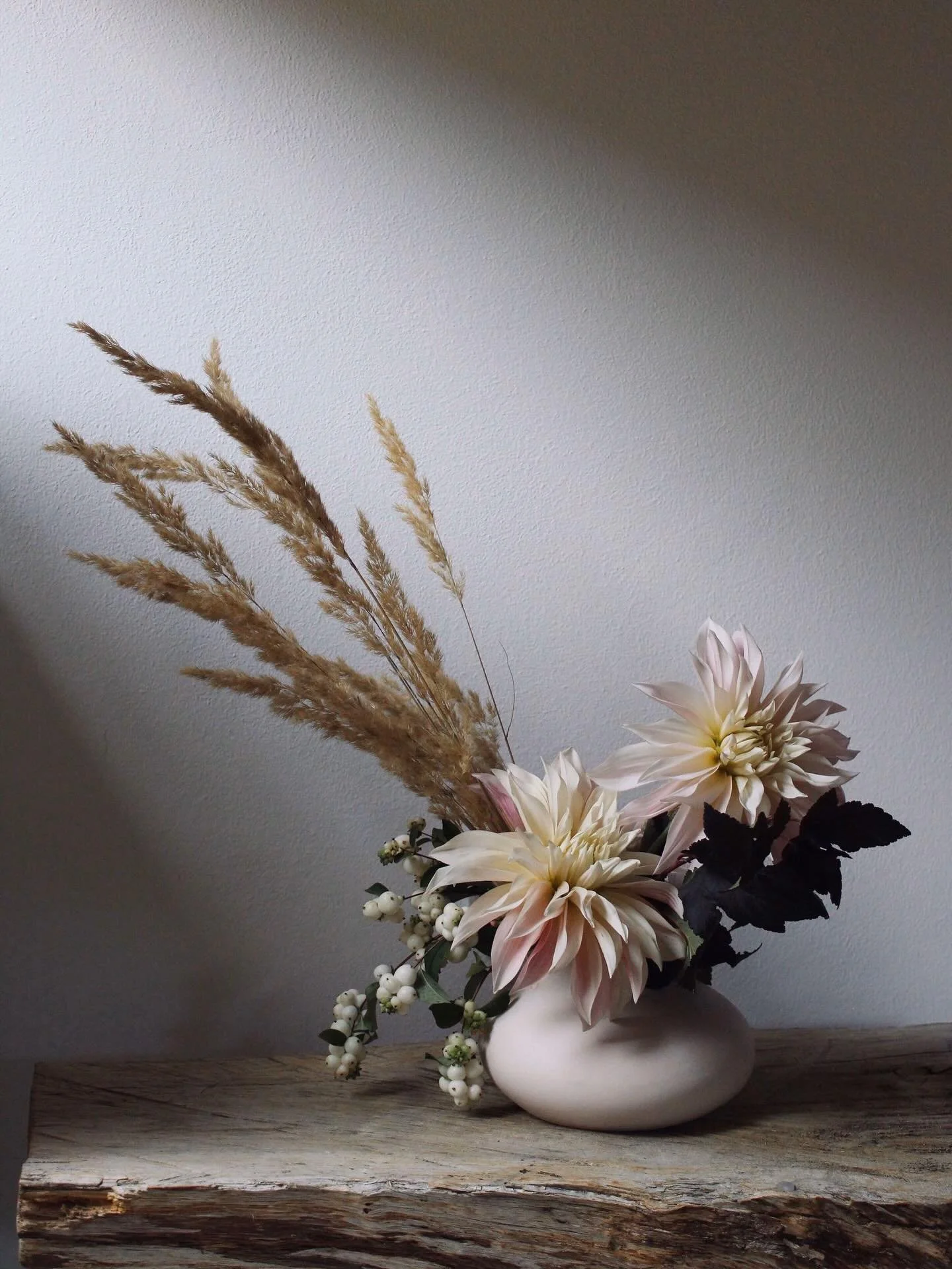 S E A S O N A L
A November arrangement with the last dahlias, soft grasses, seasonal snowberries. Nature's gentle transition from autumn to winter.

#seasonalflowers #novemberblooms #dahliaseason